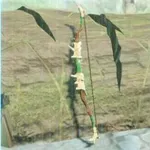 リザルボウの画像