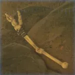 モリブリンの骨の画像