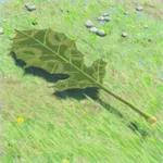コログのうちわの画像