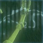 ボコブリンの骨の画像