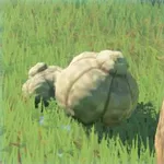大マックストリュフの画像