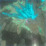 ネルドラの画像