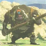 黒ヒノックスの画像