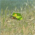 ゴーゴーガエルの画像