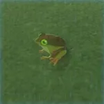 ガッツガエルの画像