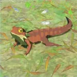 ゴーゴートカゲの画像