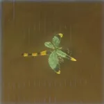 ビリビリヤンマの画像