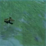 ガンバリバッタの画像