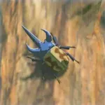 ツルギカブトの画像