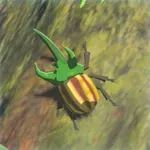 ヨロイカブトの画像
