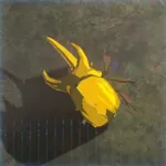 ガンバリカブトの画像