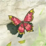 ポカポカアゲハの画像