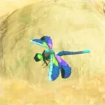 ヒンヤリヤンマの画像