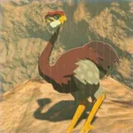 オルディンダチョウの画像