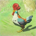 コッコの画像