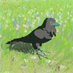 ヤマガラスの画像