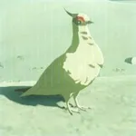 マシロバトの画像