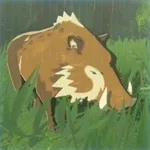 モリイノシシの画像