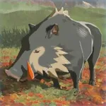 キバアカイノシシの画像