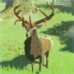 ヤマシカの画像