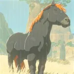 巨馬の画像