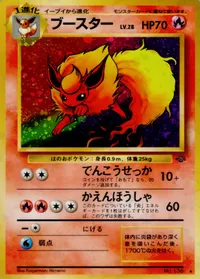 ブースター LV.28