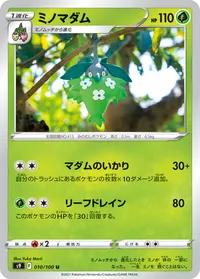 ミノマダム