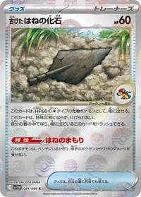 古びたはねの化石