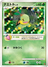 ナエトル