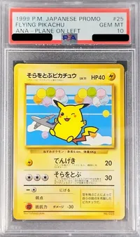そらをとぶピカチュウLV.11