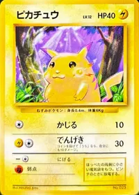 ピカチュウ LV.12