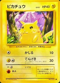 ピカチュウ LV.12