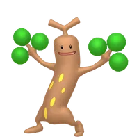 の画像