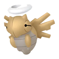 の画像