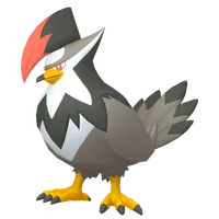 の画像