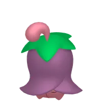 の画像