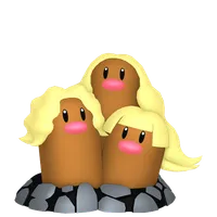 の画像