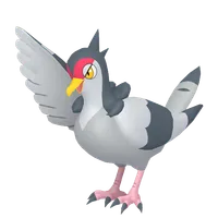 の画像