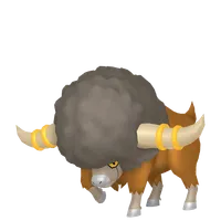 の画像