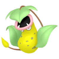 の画像