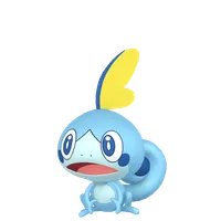 の画像
