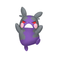 の画像