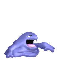 の画像