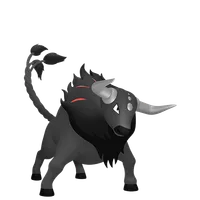 の画像