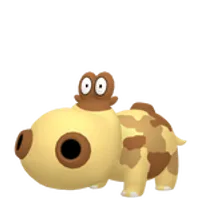 の画像