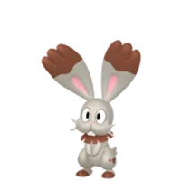 の画像