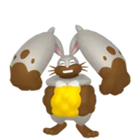 の画像