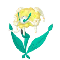 の画像