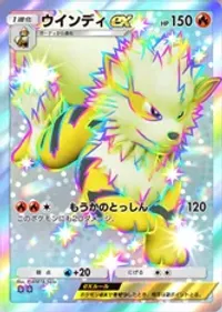 の画像