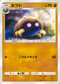 の画像